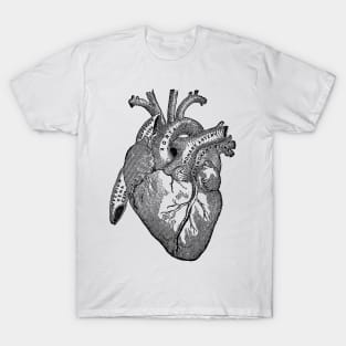 Antique Anatomy Illustration of Human Heart T-Shirt